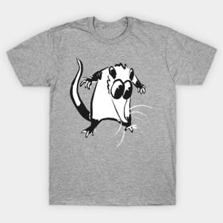 Little Dude T-Shirt